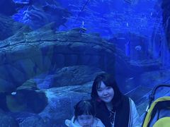 -哈尔滨波塞冬海底世界