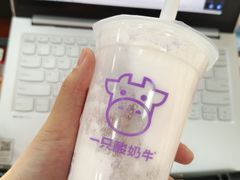 -一只酸奶牛(来福士店)