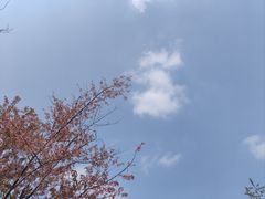 -望江楼公园