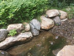 -大连植物园