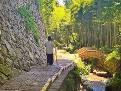 -莫干山风景区