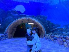 -华夏文旅海洋公园