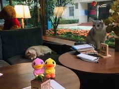 -咖法森林·咖啡  酒吧(天河店)