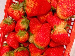 -南京市无想山景区