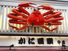 -蟹道乐(道顿堀本店)