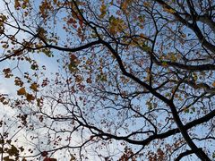 -同济大学(嘉定校区)