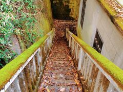 -北山街历史文化街区