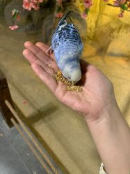 -酷嗒动物文化乐园(cutezoo西溪乐天城店)