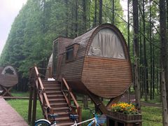 -黄海国家森林公园