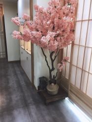 -茉秀必瘦站