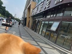 -派联宠物医院·24h·CT·异宠