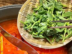 -冯校长老火锅(广州正佳广场店)