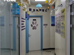 -全心全意连锁动物医院·微创中心·内科急重症·心脏专科(丰管路店)