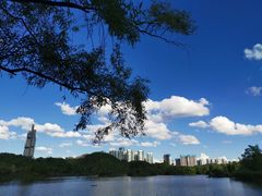 -观山湖公园