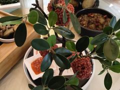 -粉巷13號陕菜馆