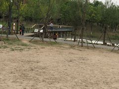 -东郊湿地公园