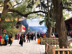 -普陀山风景名胜区-法雨禅寺