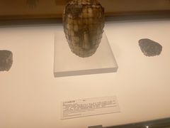 -临沂市博物馆