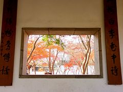 -秋霞圃