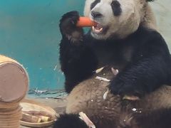 -栾川竹海野生动物园