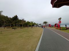 -野狸岛