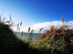 -南诏风情岛
