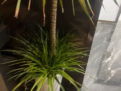 -唐宫足道·SPA·住宿24H会所(木渎店)