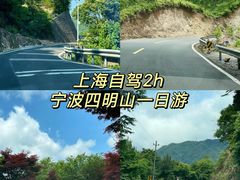 -四明山国家森林公园