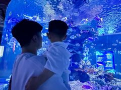 -左海海底世界