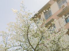 -四川大学(望江校区)