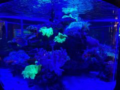 -上和臻品中国菜(花园街店)