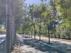 -北京鹫峰国家森林公园