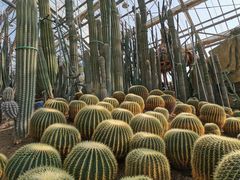 -南山植物园