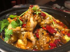 馋嘴蛙-新白鹿餐厅(金鹰新街口店)
