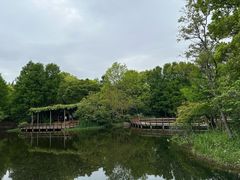 -上海滨江森林公园