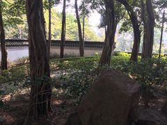 -九龙寨城公园