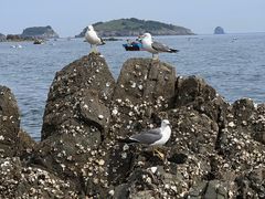 -银沙滩浴场