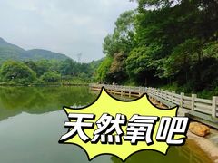 -广州市帽峰山景区