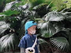 -晓港公园