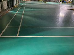 -东丽温泉羽毛球