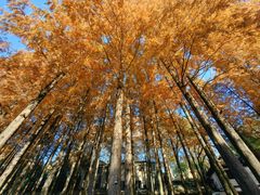 -东坡赤壁风景名胜区