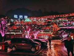 -枇杷园食为鲜火锅(南山店)