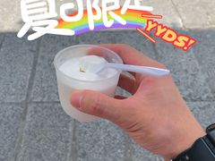 -洪馨椰子