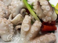 盐水章鱼-蛇口康乐快餐鱼仔档(翠苑小区店)