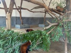 -杭州野生动物世界