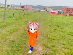 -乌兰布统草原