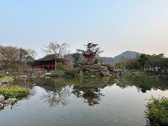 -顺峰山公园