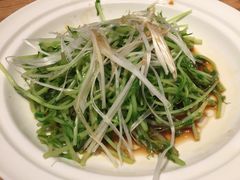 白灼豌豆苗-顺香居·老字号湖北菜(江汉路店)