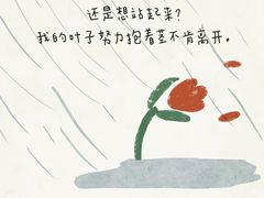 -曼朗心理咨询·旗舰店