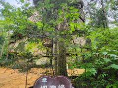 -汤旺河林海奇石景区